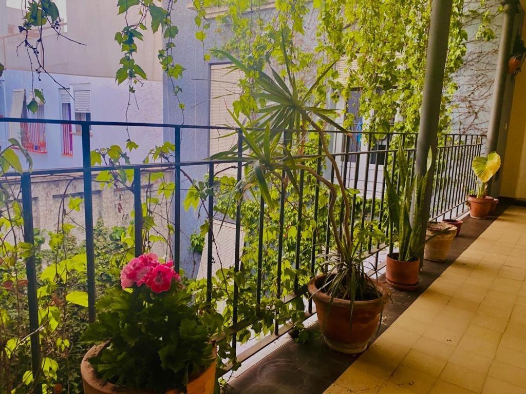Innsevillaluxury Apartment Pilatos Екстер'єр фото